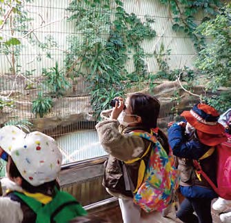 動物の目と脚を調べる