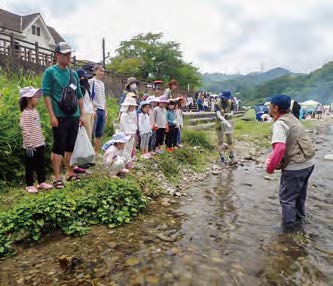 水生昆虫をさがす