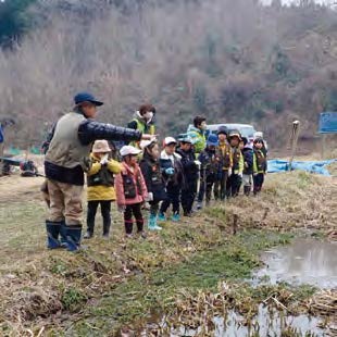 カエルのたまご