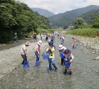 渓流で生き物探索