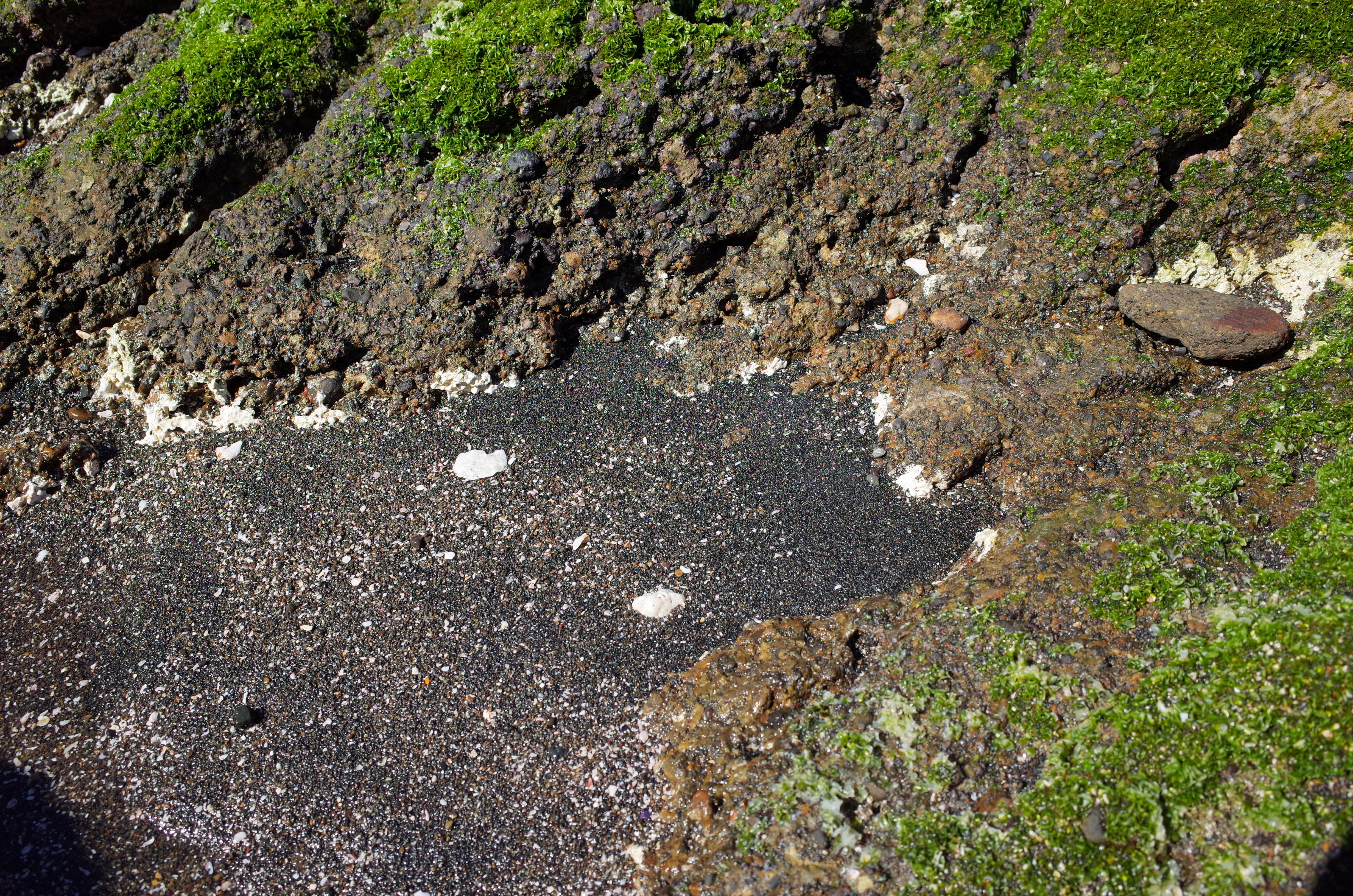 砂浜、真っ黒な砂のヒミツを調べる
